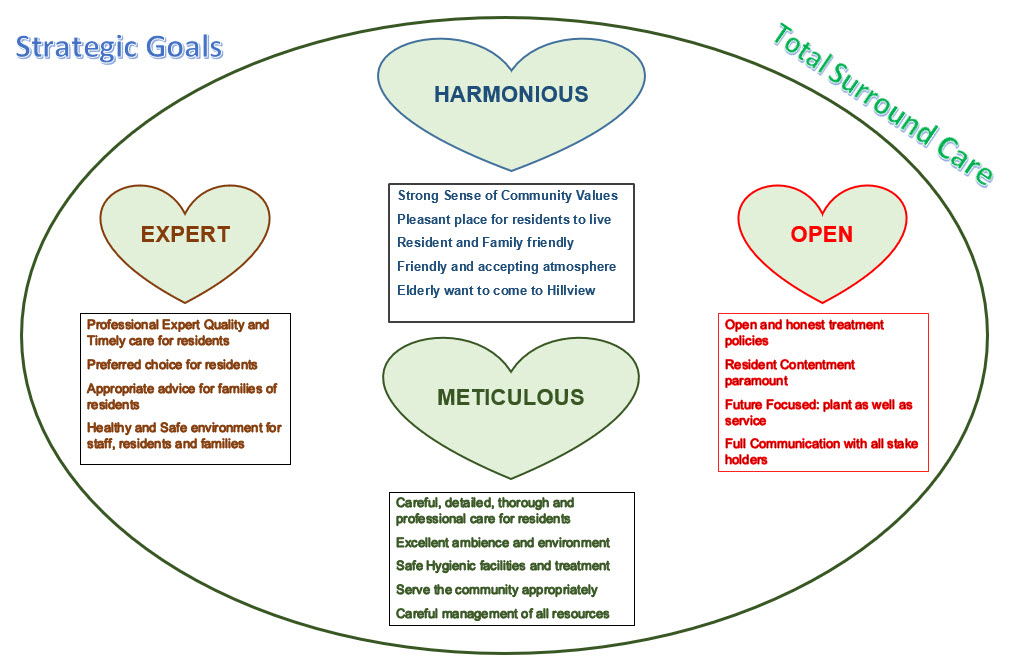 Hillview Strategic Goals